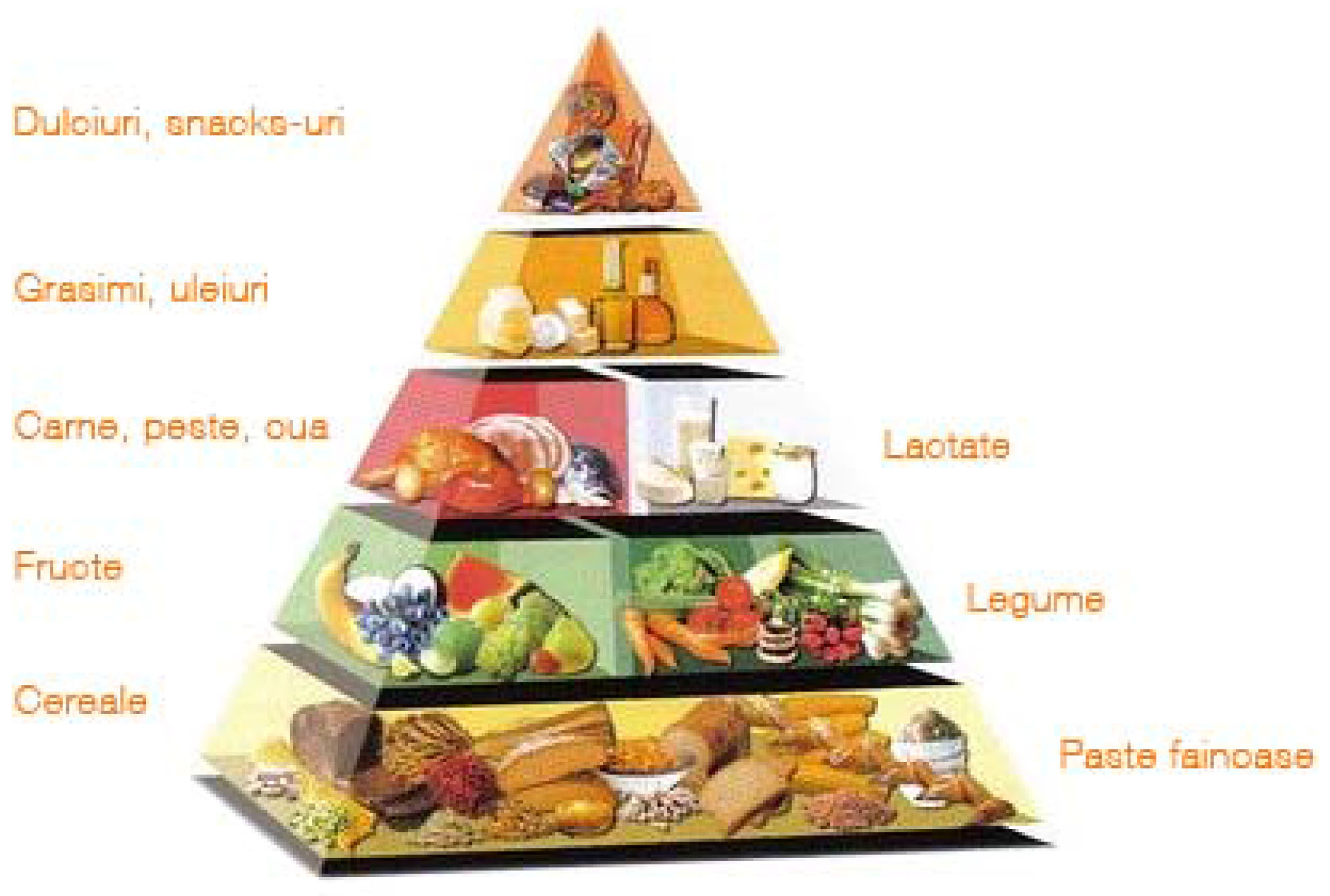 Figura nr.5. Piramida alimentara