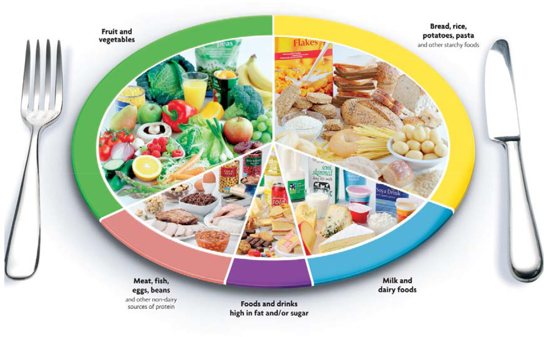 Figura nr.6. Principiile alimentare reprezentate pe farfurie.